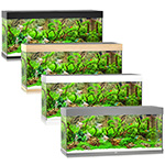 �������� Juwel RIO 240 LED � ������������� 